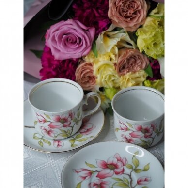 Mitterteich puodelis, dekoruotas magnolijomis