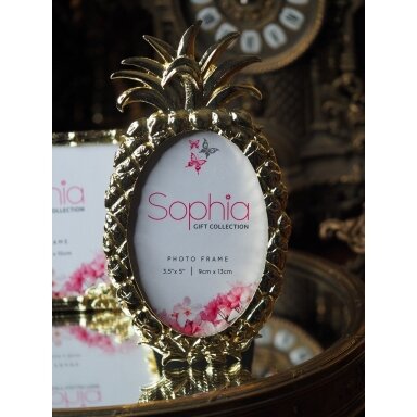 Rėmeliai Ananasas Rėmeliai Ananasas