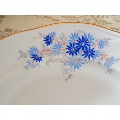Rygos porceliano serviravimo lėkštė su mėlynomis gėlėmis